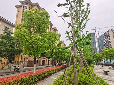 台湾小镇楼盘相册欣赏